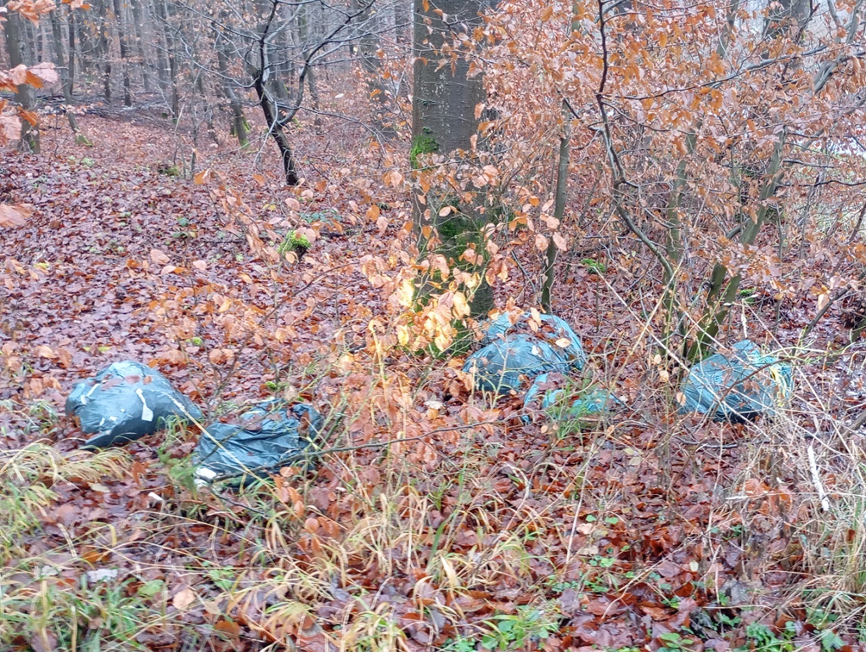 In einem Waldstück liegen blaue Abfallsäcke.