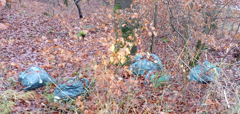 In einem Waldstück liegen blaue Abfallsäcke.