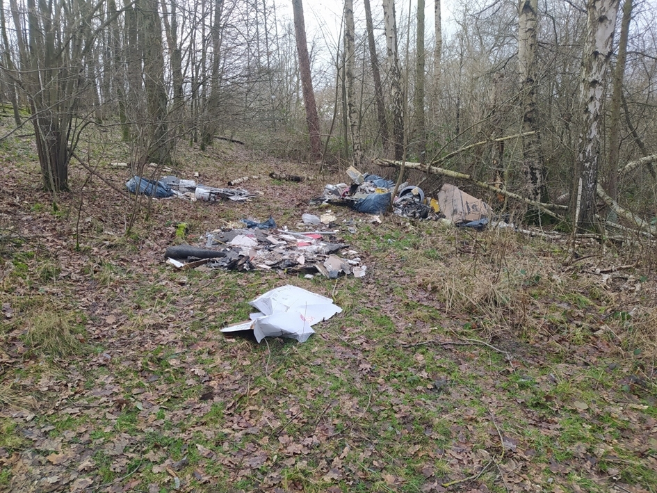 In der Umwelt und im Wald wurden Unmengen Müll hinterlassen.