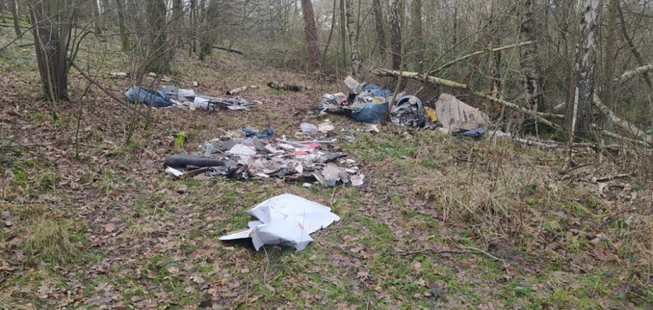 In der Umwelt und im Wald wurden Unmengen Müll hinterlassen.