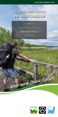 Das Titelbild des neuen Flyers ist geprägt von einem Wanderer, der die Aussicht in die Natur genießt.