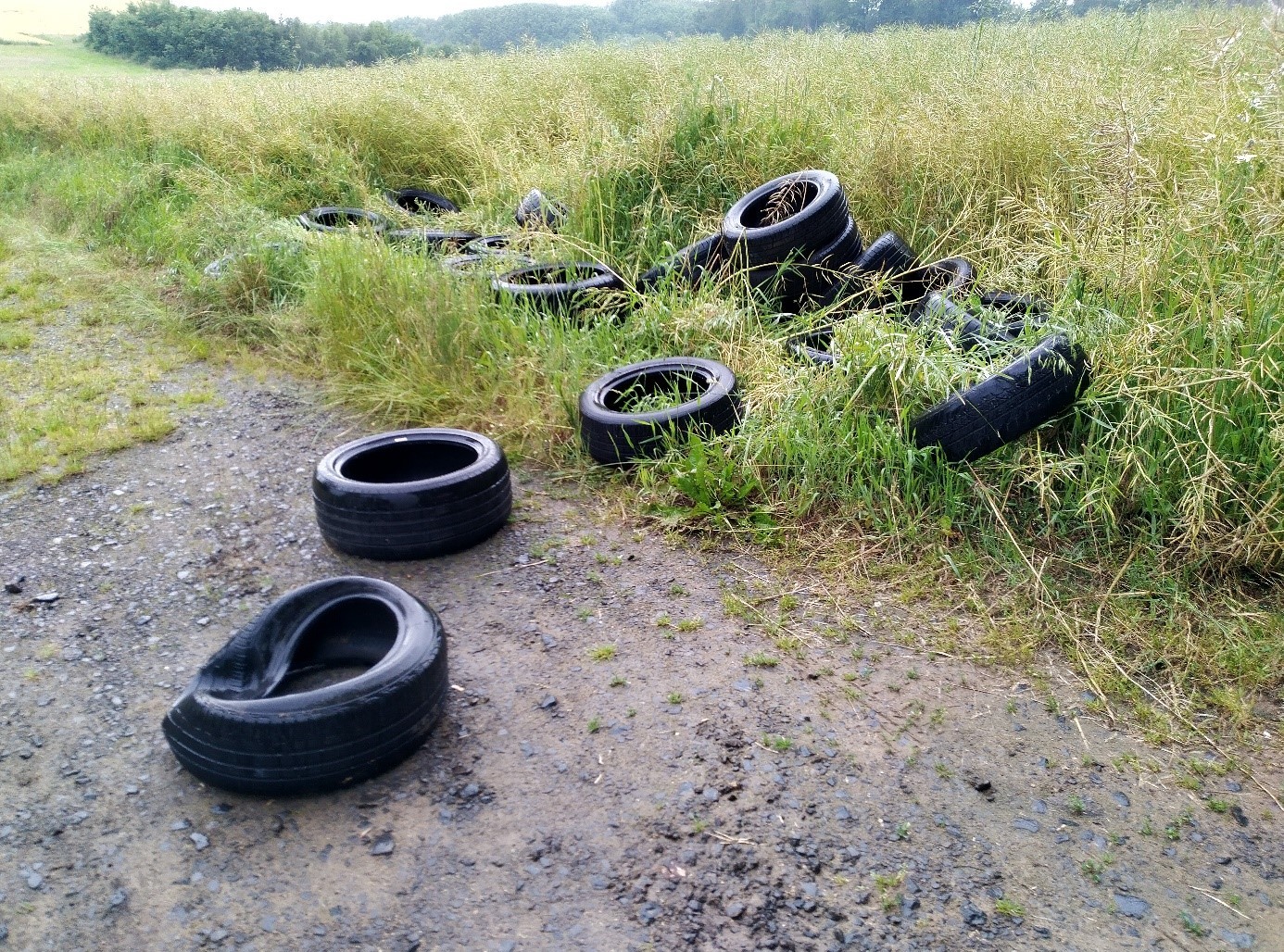 Ungefähr zehn Reifen liegen verteilt auf einem Waldwege und einer angrenzenden Wiese.