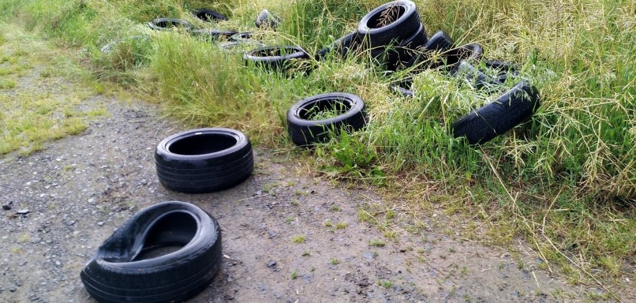 Ungefähr zehn Reifen liegen verteilt auf einem Waldwege und einer angrenzenden Wiese.