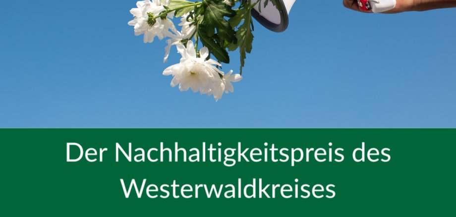 Das Plakat zeigt alle Fakten zur Grünen Welle.