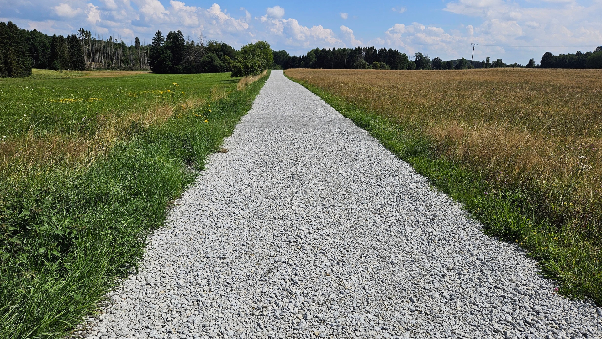 Ein geschotterter Weg führt mitten durch eine Wiese.