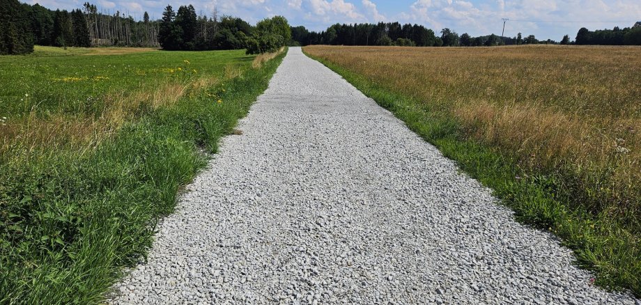 Ein geschotterter Weg führt mitten durch eine Wiese.