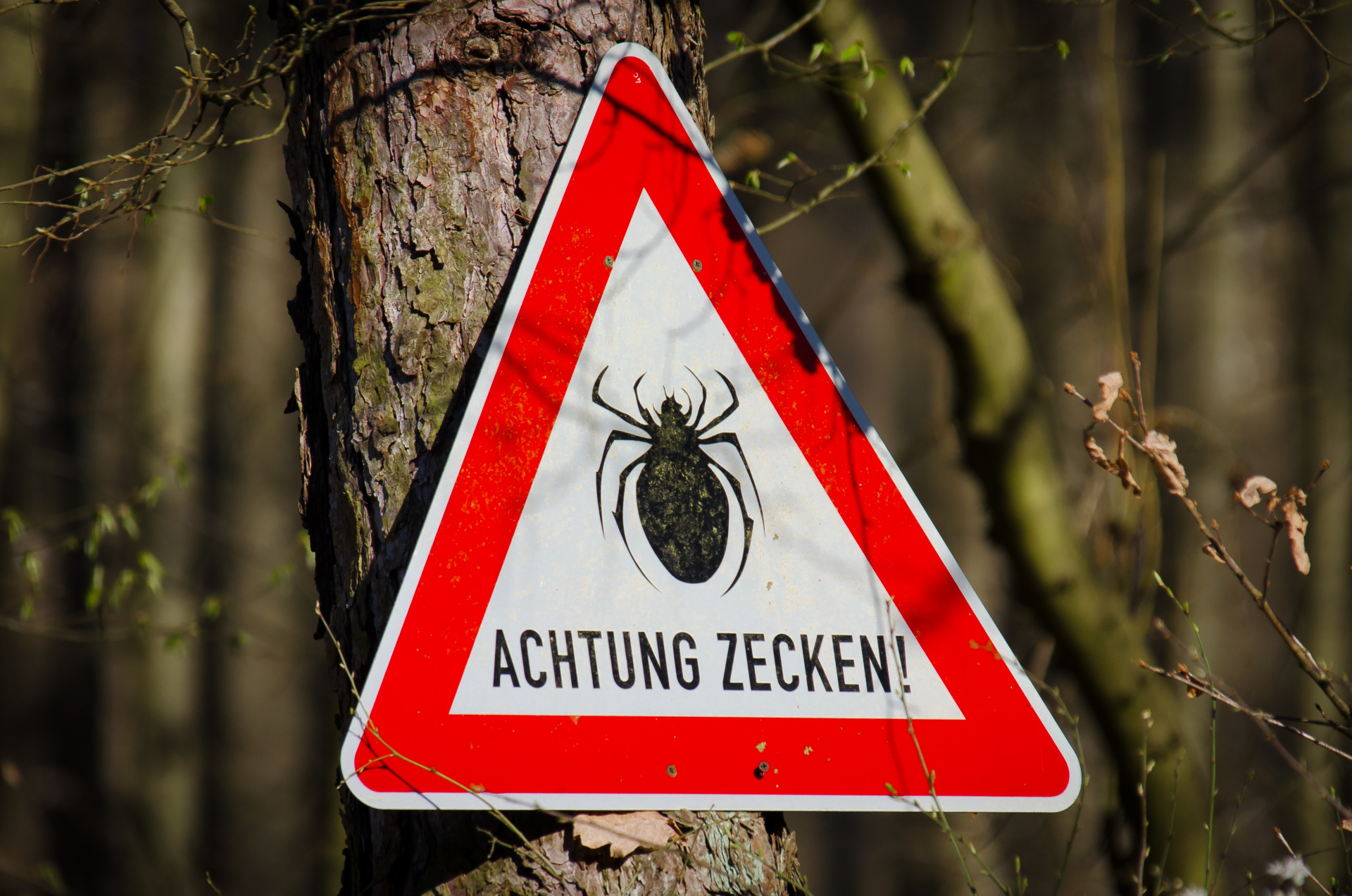 Ein Schild warnt im Wald vor Zecken.
