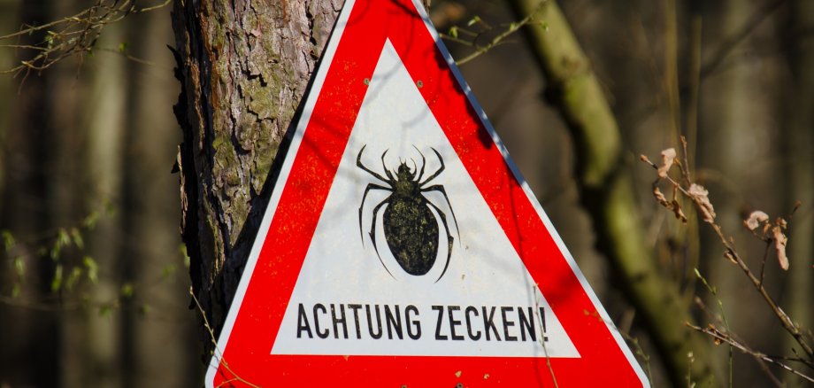 Ein Schild warnt im Wald vor Zecken.
