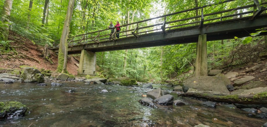 Zwei Personen laufen über eine Holzbrücke, die über einen Bach führt.