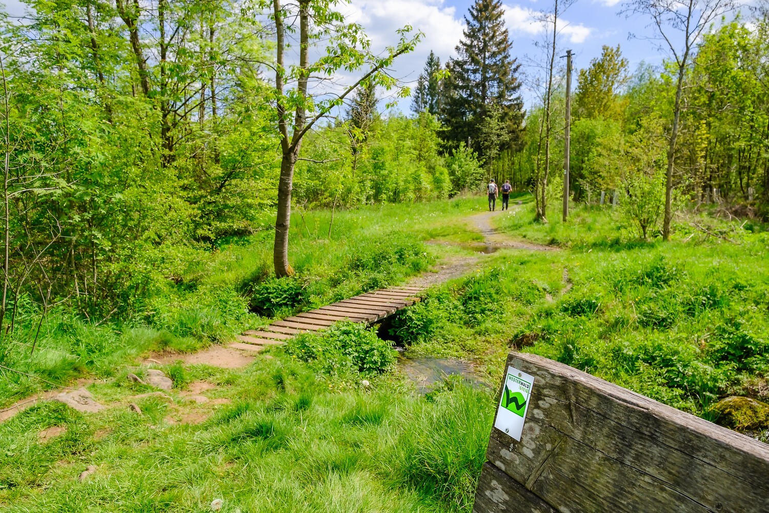 WesterwaldSteig Etappe 3 | Rehe - Rennerod Eine kleiner Holzbrettersteig führt über einen kleinen Fluss in einer Wiese, umgeben von Bäumen.
