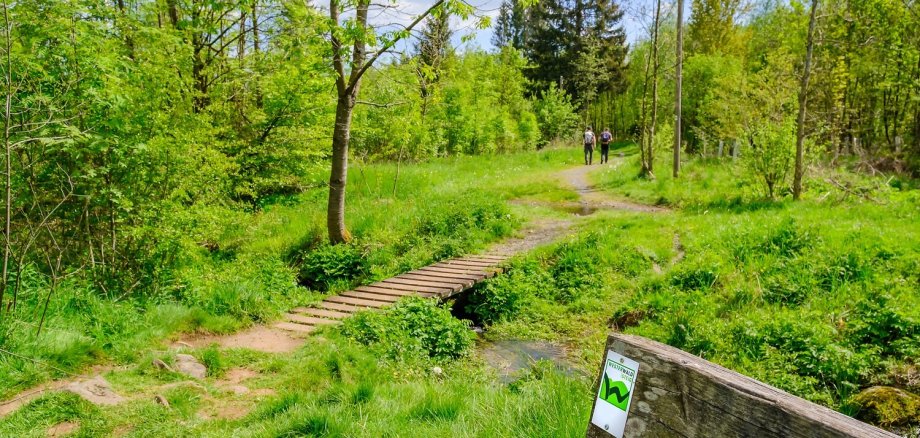 WesterwaldSteig Etappe 3 | Rehe - Rennerod Eine kleiner Holzbrettersteig führt über einen kleinen Fluss in einer Wiese, umgeben von Bäumen.