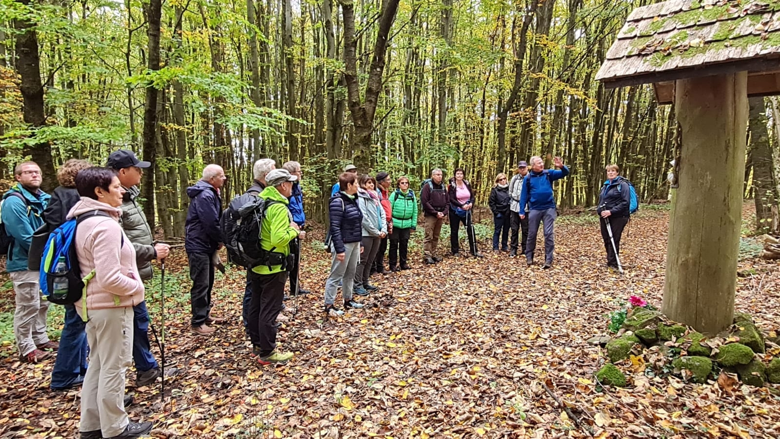 Eine Gruppe Wanderer steht im Wald und lauscht den Erklärungen eines Wanderführers.