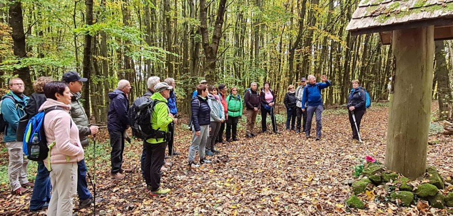 Eine Gruppe Wanderer steht im Wald und lauscht den Erklärungen eines Wanderführers.