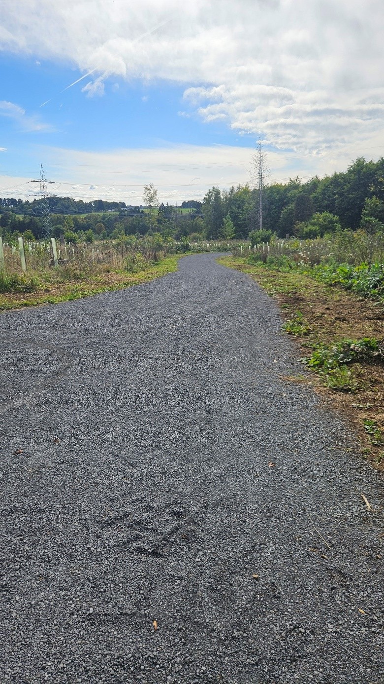Ein Schotterweg führt durch Wiesen und Wälder.