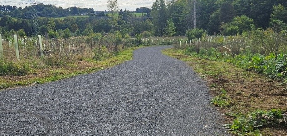 Ein Schotterweg führt durch Wiesen und Wälder.