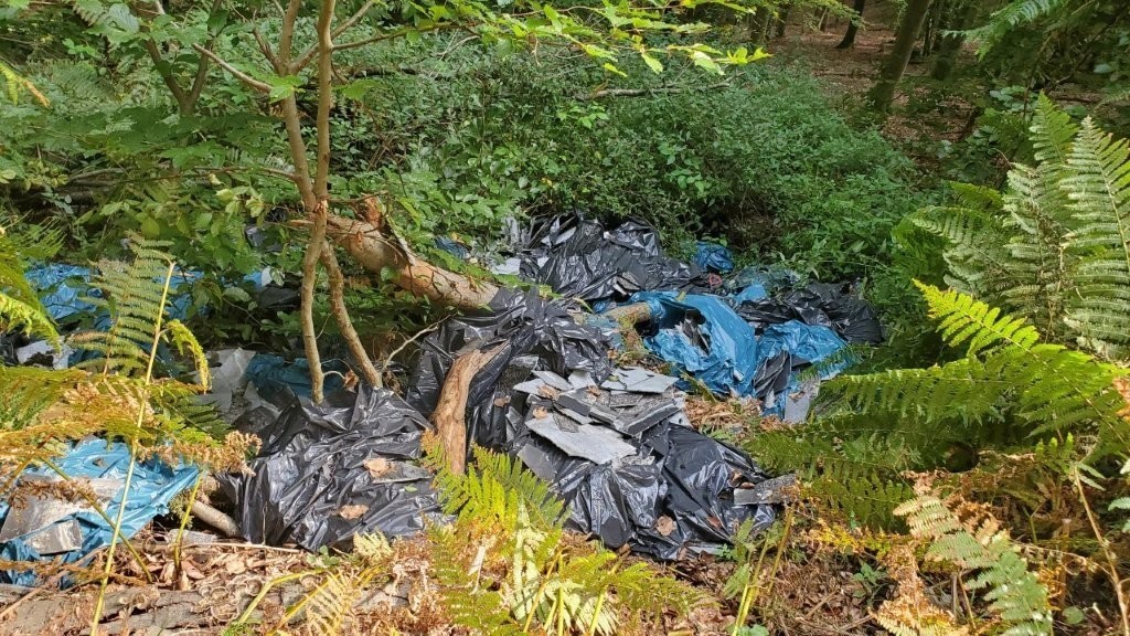 Erneut wurden asbesthaltige Dachplatten illegal im Wald entsorgt.