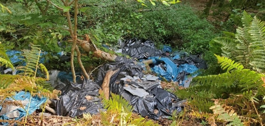 Erneut wurden asbesthaltige Dachplatten illegal im Wald entsorgt.