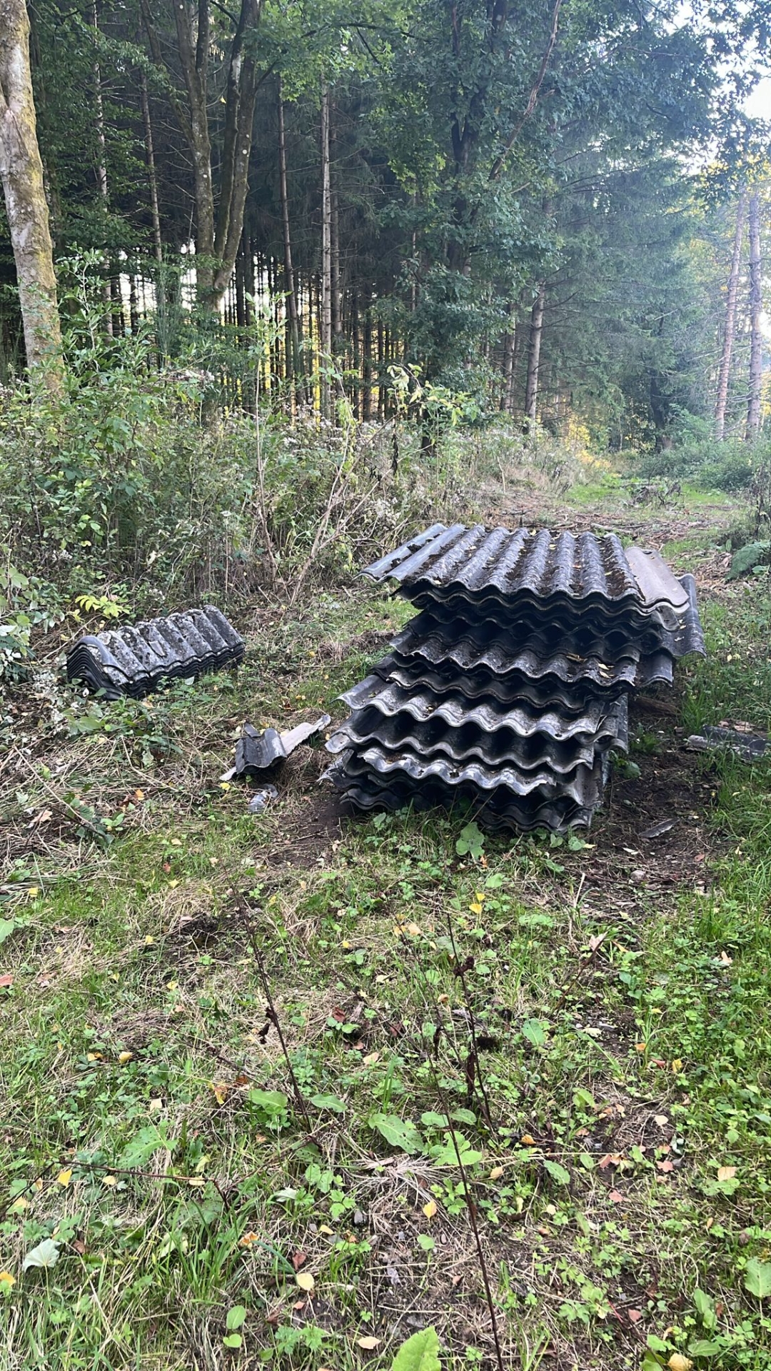 Eine große Menge Asbestplatten wurde illegal im Wald abgelegt.
