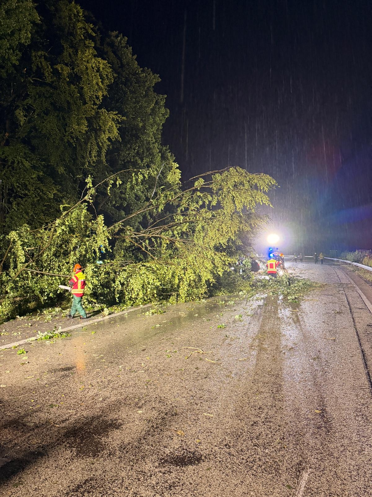 Feuerwehrleute schneiden einen Baum weg, der auf eine Straße gestürzt ist.