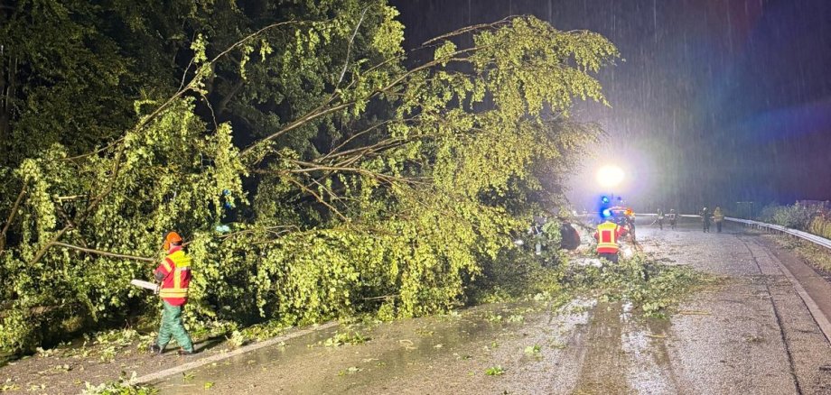 Feuerwehrleute schneiden einen Baum weg, der auf eine Straße gestürzt ist.