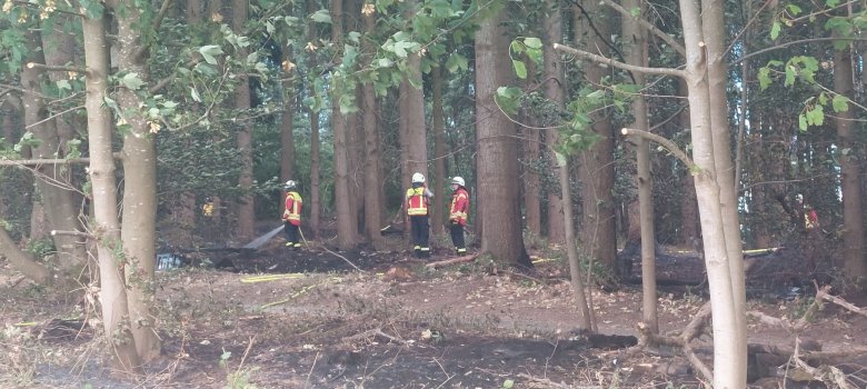 Drei Feuerwehrleute stehen im Wald und löschen.