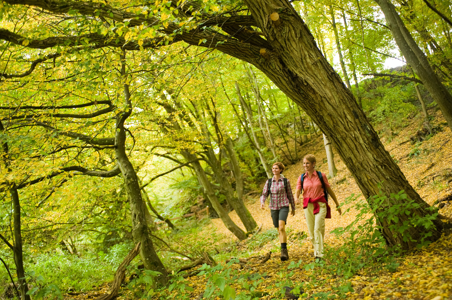 Zwei Frauen wandern durch einen Herbstwald.