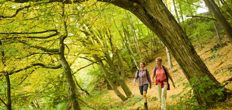 Zwei Frauen wandern durch einen Herbstwald.