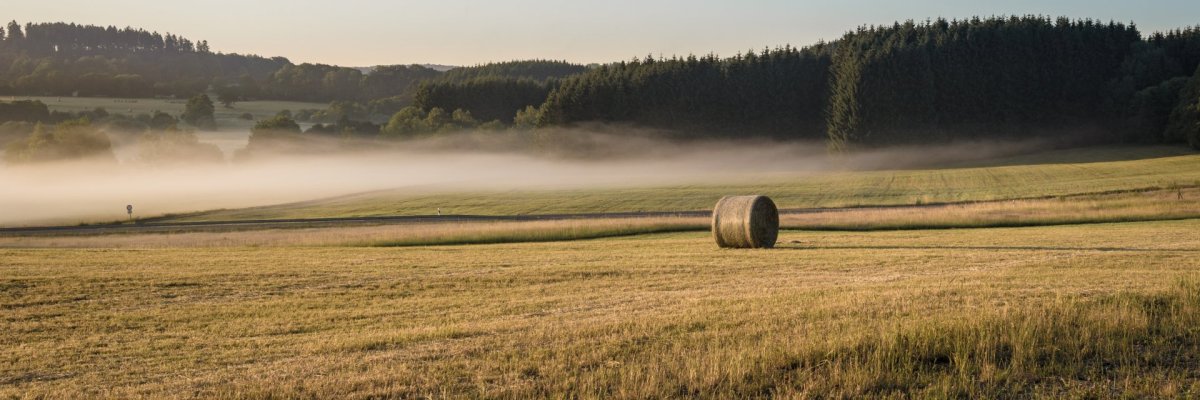 Agrar Auf einem Feld liegen Heuballen und Nebelschwaden ziehen darüber.