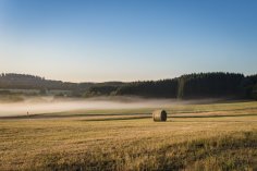 Agrar Auf einem Feld liegen Heuballen und Nebelschwaden ziehen darüber.