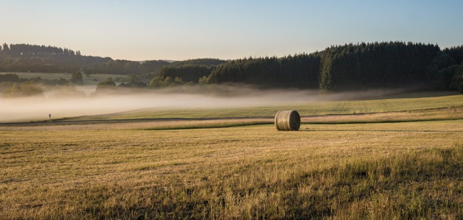 Agrar Auf einem Feld liegen Heuballen und Nebelschwaden ziehen darüber.