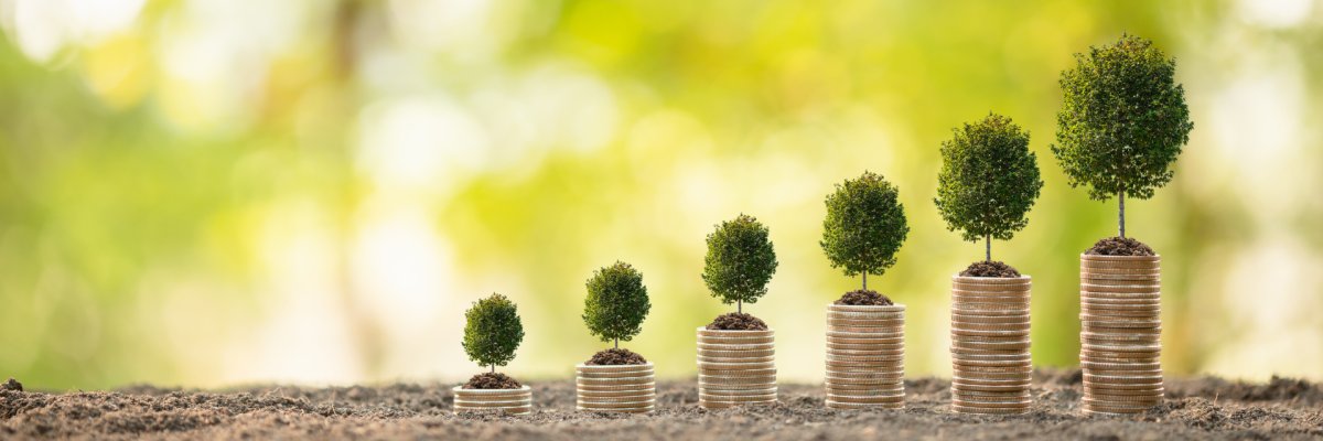 Coin stack on blur background. Business success or money growing concept Von links nach rechts werden Bäumchen in Pflanzgefäßen größer.