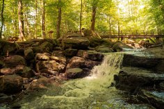 Die Holzbachschlucht beginnt bei Hof Dapprich (Gem. Seck) und endet in Höhe der Lochmühle (Gem. Gemünden).