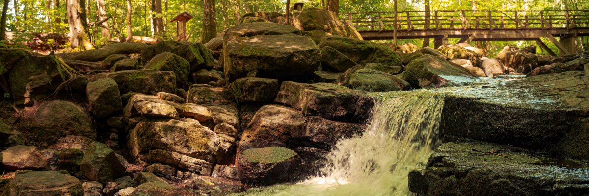 Die Holzbachschlucht beginnt bei Hof Dapprich (Gem. Seck) und endet in Höhe der Lochmühle (Gem. Gemünden).