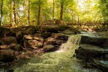Die Holzbachschlucht beginnt bei Hof Dapprich (Gem. Seck) und endet in Höhe der Lochmühle (Gem. Gemünden).