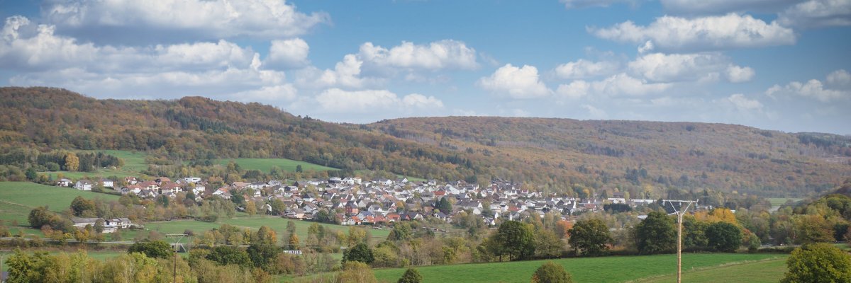 im Vordergrund eine Kuhherde, dahinter ein Dorf vor einem Wald.