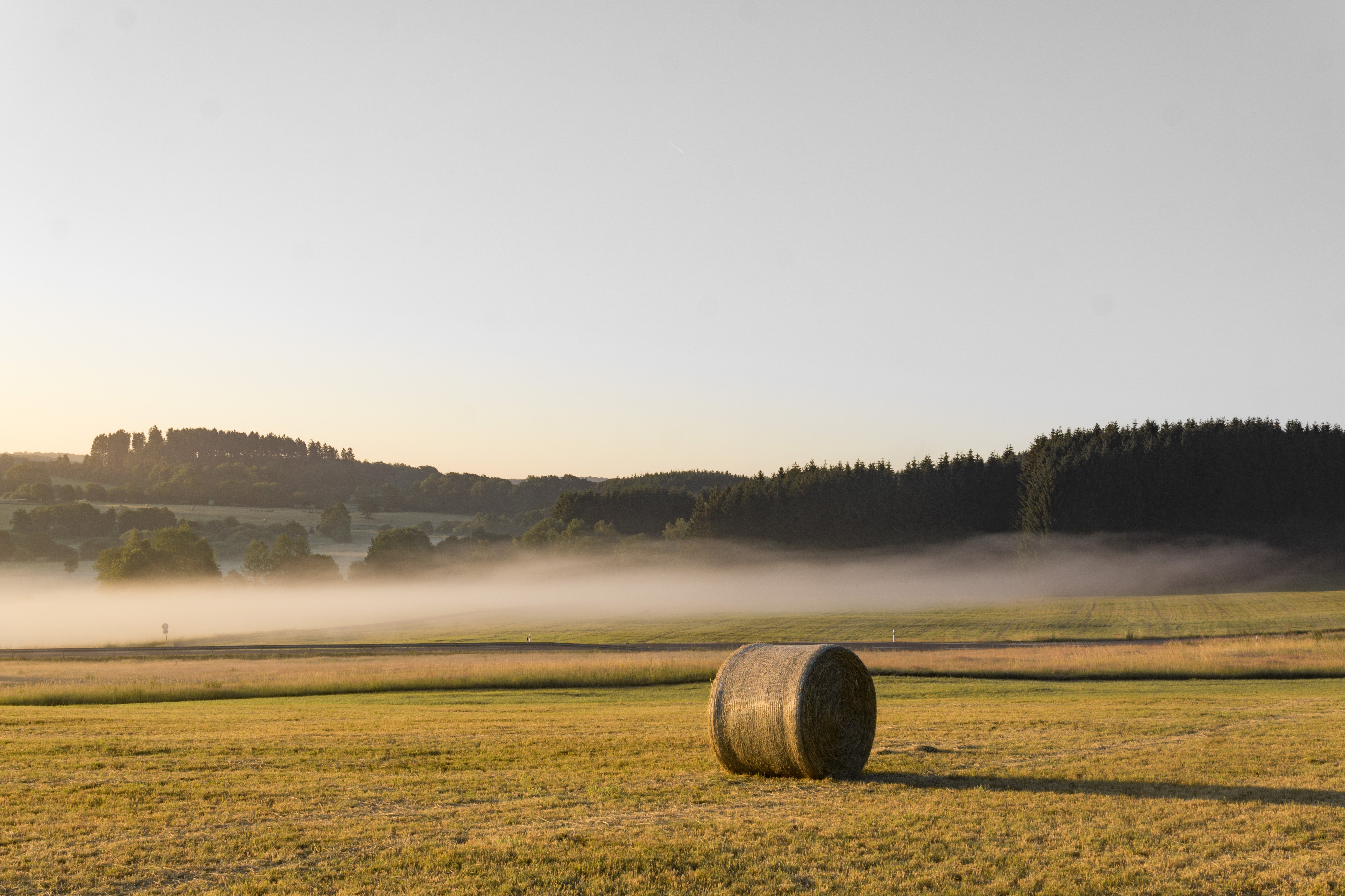 einen Heuballen vor einer nebligen Landschaft.