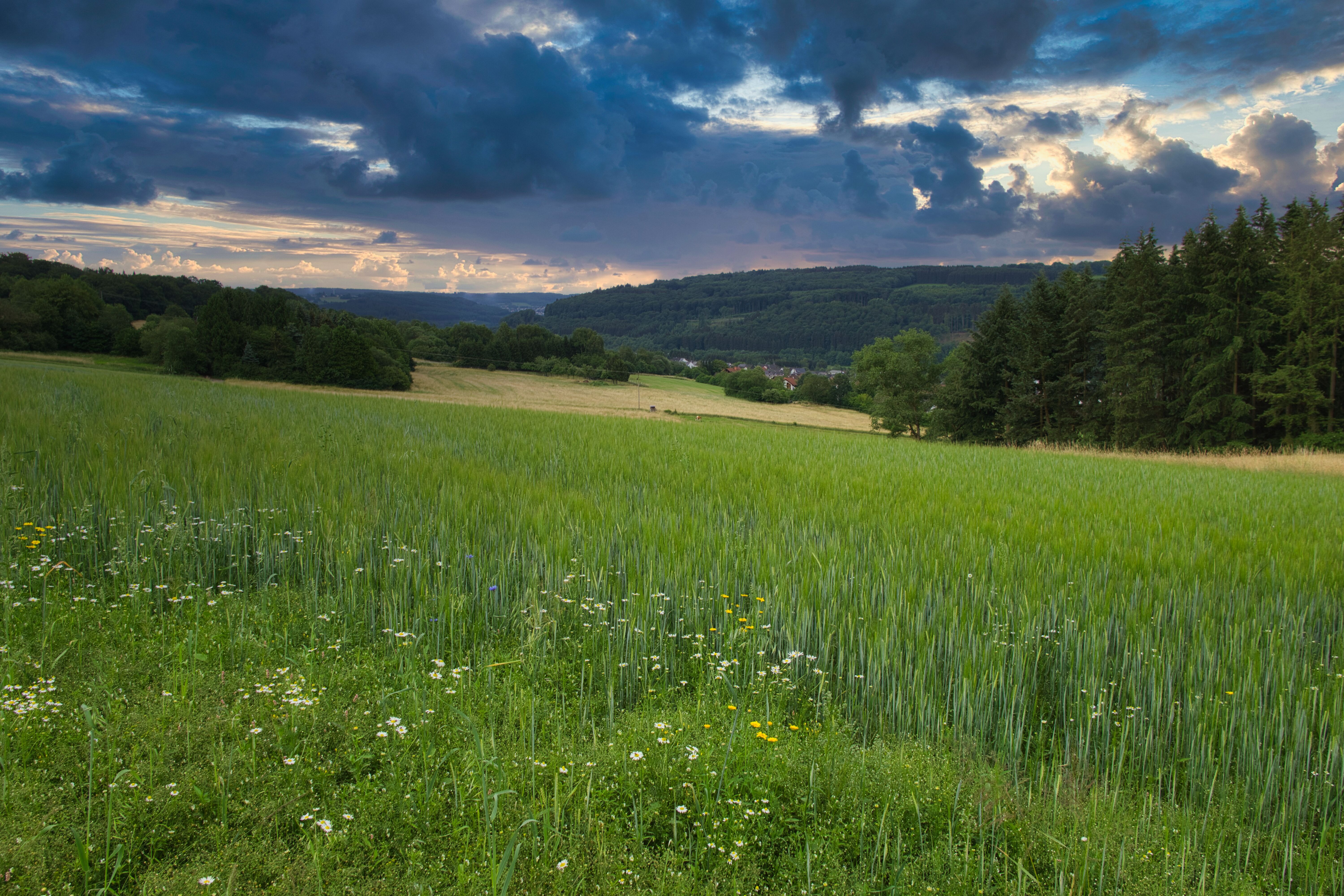 sattgrüne Felder inmitten einer wolkenverhangenen Landschaft.