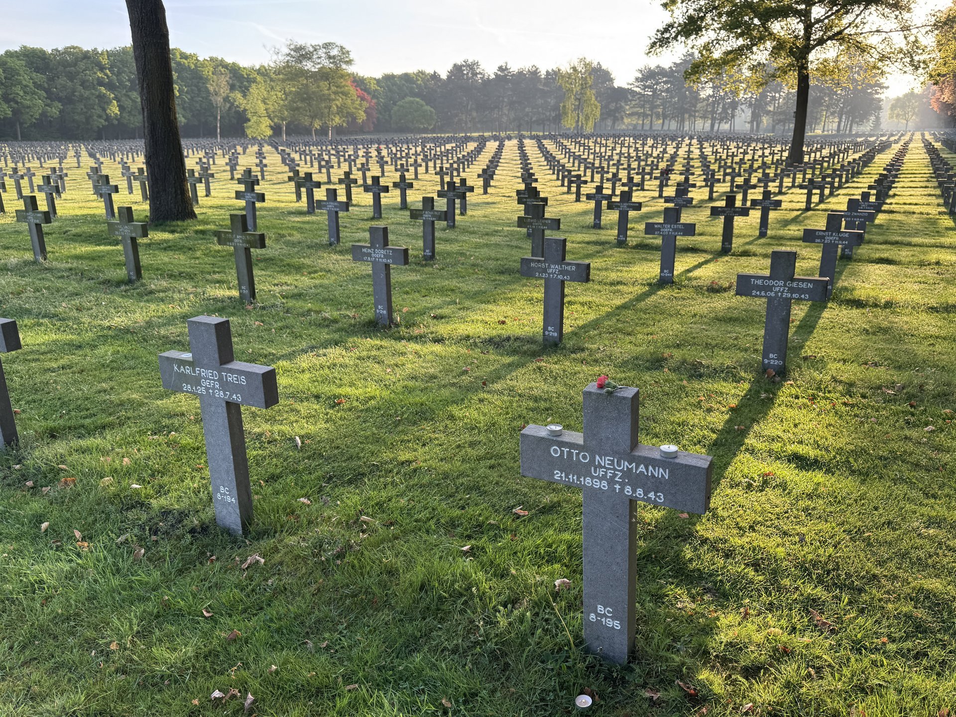 Viele schwarze Kreuze stehen auf einer Wiese.