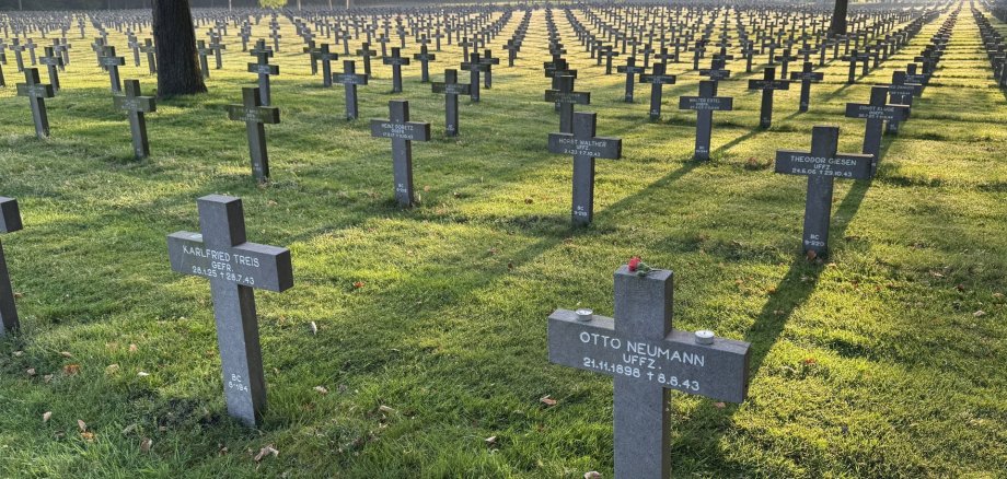 Viele schwarze Kreuze stehen auf einer Wiese.