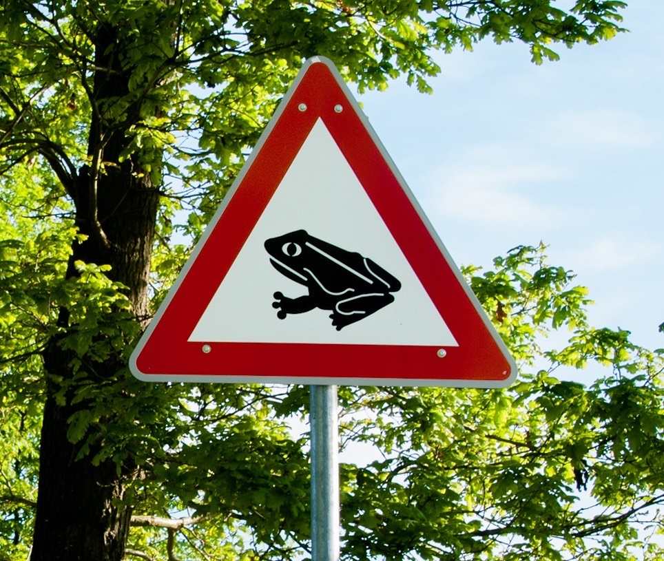 Ein dreieckiges Warnschild mit einem roten Rand zeigt eine schwarze Kröte.