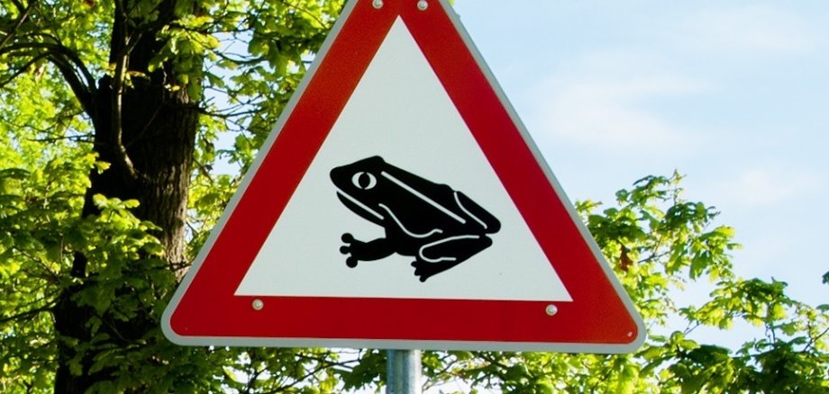 Ein dreieckiges Warnschild mit einem roten Rand zeigt eine schwarze Kröte.