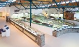 Der Ausstellungsraum des Keramikmuseums Westerwald verfügt über viele Vitrinen.