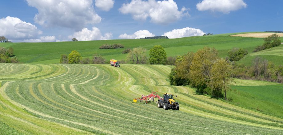 Zwei Traktoren bei der Ernte von Grünfutter in hügeliger Landschaft.