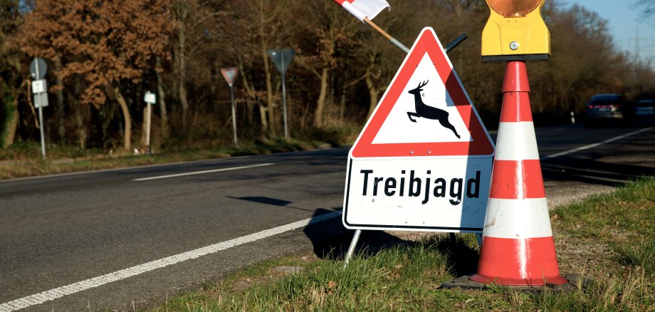 Schilder weisen auf eine Treibjagd hin.